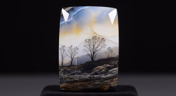 An exceptional 'picture' or 'landscape' dendritic opal that looks like a complete forest scene.